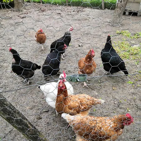 Sous Les Toits Couette-café