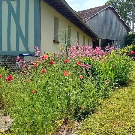 Sous Les Toits * Dosches