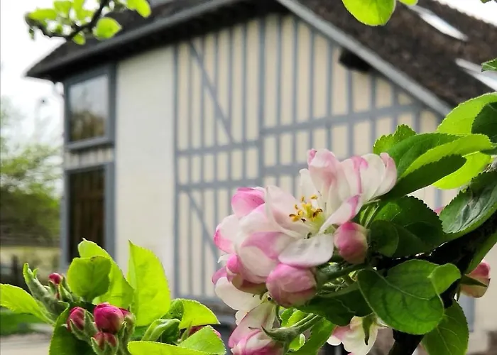 Sous Les Toits * Dosches