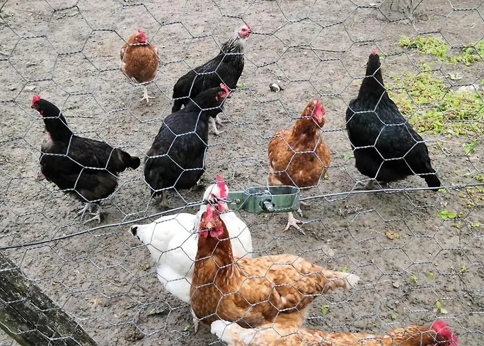 Sous Les Toits Bed & Breakfast